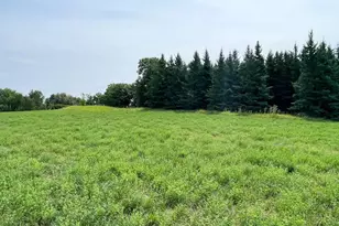 46635 S Pine Lake Rd, Gonvick, MN 56644 - Photo 60