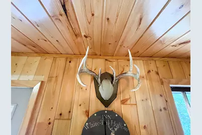 46635 S Pine Lake Road, Gonvick, MN 56644 - Photo 28