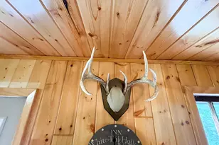 46635 S Pine Lake Rd, Gonvick, MN 56644 - Photo 28