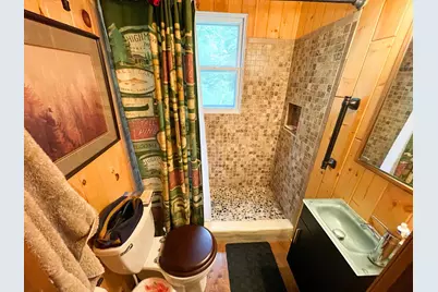 46635 S Pine Lake Road, Gonvick, MN 56644 - Photo 34
