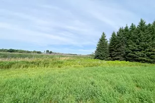 46635 S Pine Lake Rd, Gonvick, MN 56644 - Photo 56
