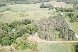 46635 S Pine Lake Rd, Gonvick, MN 56644 - Photo 12