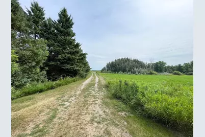 46635 S Pine Lake Road, Gonvick, MN 56644 - Photo 52