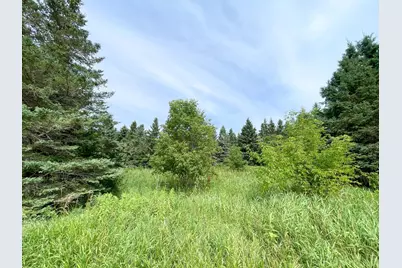 46635 S Pine Lake Road, Gonvick, MN 56644 - Photo 54