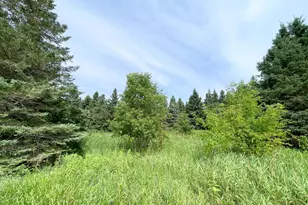 46635 S Pine Lake Rd, Gonvick, MN 56644 - Photo 54