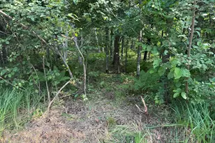 Tbd Woodstock Rd, Sturgeon Lake, MN 55783 - Photo 1