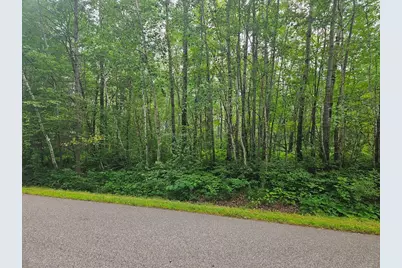 Lot 3 Blk 2 SW 1st Avenue, Grand Rapids, MN 55744 - Photo 4