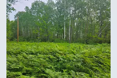 Lot 4 Blk 2 SW 1st Avenue, Grand Rapids, MN 55744 - Photo 8