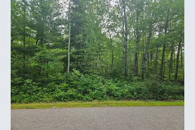 Lot 4 Blk 2 SW 1st Avenue, Grand Rapids, MN 55744 - Photo 6