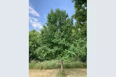 26291 82nd Avenue S, Hawley, MN 56549 - Photo 22