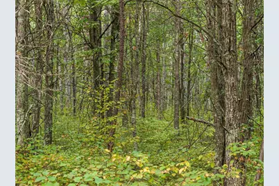 Lot F Sandbar Lane, Merrifield, MN 56465 - Photo 1