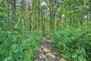 49363 Morrison Line Rd, Motley, MN 56466 - Photo 44