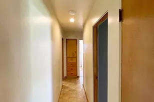 16 S Paffrath Ave, Springfield, MN 56087 - Photo 20