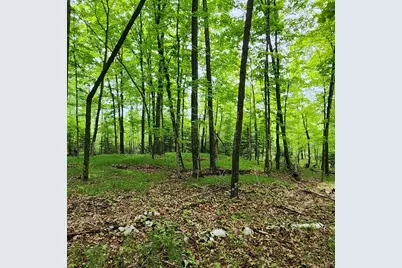 3157 4th Avenue NW, Longville, MN 56655 - Photo 8