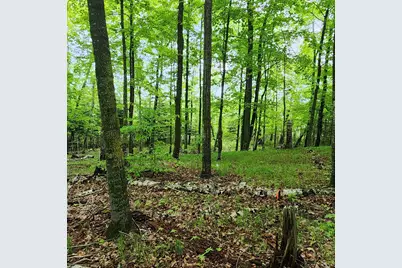 3157 4th Avenue NW, Longville, MN 56655 - Photo 6