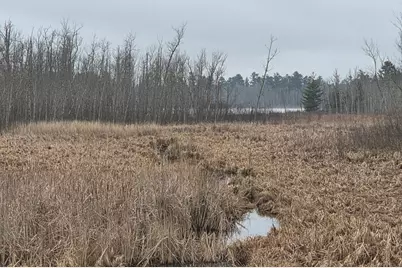 Tbd County 11, Longville, MN 56655 - Photo 2