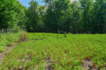 33098 N Cotton Lake Road, Rochert, MN 56578 - Photo 12