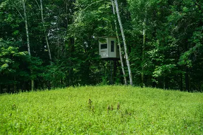 Tbd N Cotton Lake Road, Rochert, MN 56578 - Photo 22
