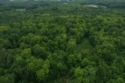 Tbd N Cotton Lake Road, Rochert, MN 56578 - Photo 10