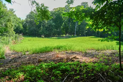 Tbd N Cotton Lake Road, Rochert, MN 56578 - Photo 20