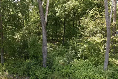 Tbd Maplewood Ridge Road, East Gull Lake, MN 56401 - Photo 10