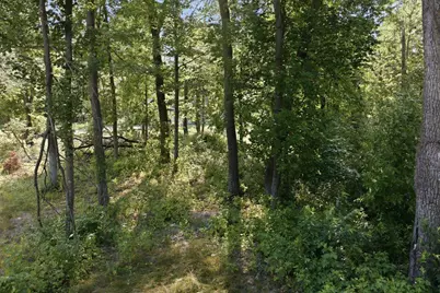 Tbd Maplewood Ridge Road, East Gull Lake, MN 56401 - Photo 12