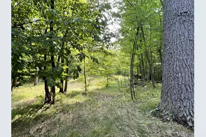 16574 Riverside Drive, Brainerd, MN 56401 - Photo 8