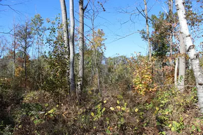 Tbd Woods Road, Isle, MN 56342 - Photo 26