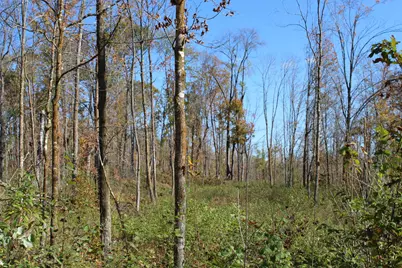 Tbd Woods Road, Isle, MN 56342 - Photo 2