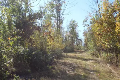 Tbd Woods Road, Isle, MN 56342 - Photo 22