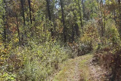 Tbd Woods Road, Isle, MN 56342 - Photo 24
