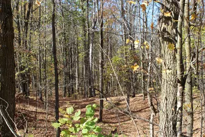 Tbd Woods Road, Isle, MN 56342 - Photo 28