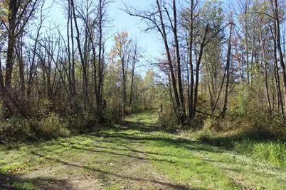 Tbd Woods Road, Isle, MN 56342 - Photo 16