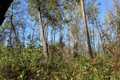 Tbd Woods Road, Isle, MN 56342 - Photo 18