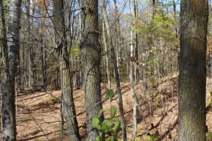 Tbd Woods Rd, Isle, MN 56342 - Photo 1