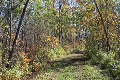 Tbd Woods Road, Isle, MN 56342 - Photo 4