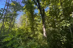 Lot 1 County Road Bb, Woodville, WI 54028 - Photo 1