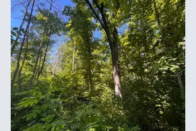 Lot 1 County Road Bb, Woodville, WI 54028 - Photo 2