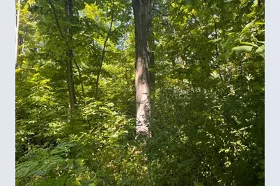 Lot 1 County Road Bb, Woodville, WI 54028 - Photo 6