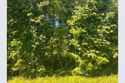 Lot 1 County Road Bb, Woodville, WI 54028 - Photo 4
