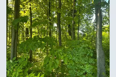 Lot 1 County Road Bb, Woodville, WI 54028 - Photo 4