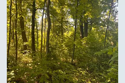 Lot 1 County Road Bb, Woodville, WI 54028 - Photo 8