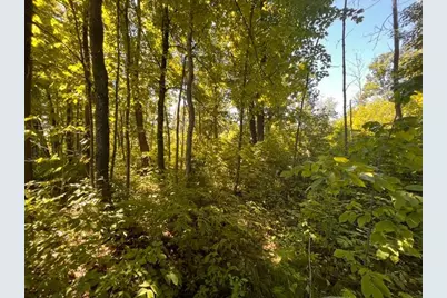Lot 1 County Road Bb, Woodville, WI 54028 - Photo 6