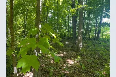 Lot 2 County Rd Bb, Woodville, WI 54028 - Photo 10