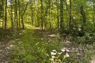 Lot 2 County Rd Bb, Woodville, WI 54028 - Photo 1