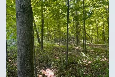 Lot 2 County Rd Bb, Woodville, WI 54028 - Photo 4