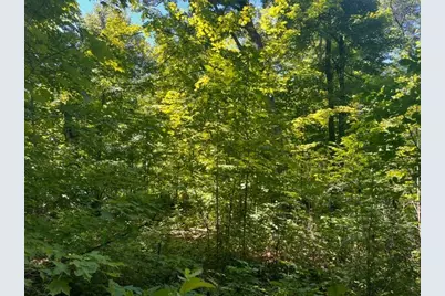 Lot 2 County Rd Bb, Woodville, WI 54028 - Photo 6