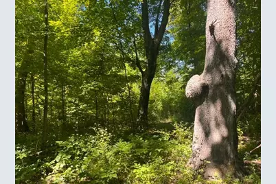 Lot 2 County Rd Bb, Woodville, WI 54028 - Photo 8