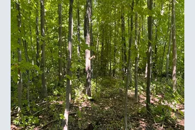 Lot 3 60th Avenue, Woodville, WI 54028 - Photo 16