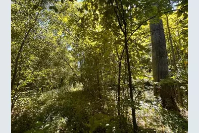 Lot 3 60th Avenue, Woodville, WI 54028 - Photo 8